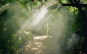 Nomade Tulum